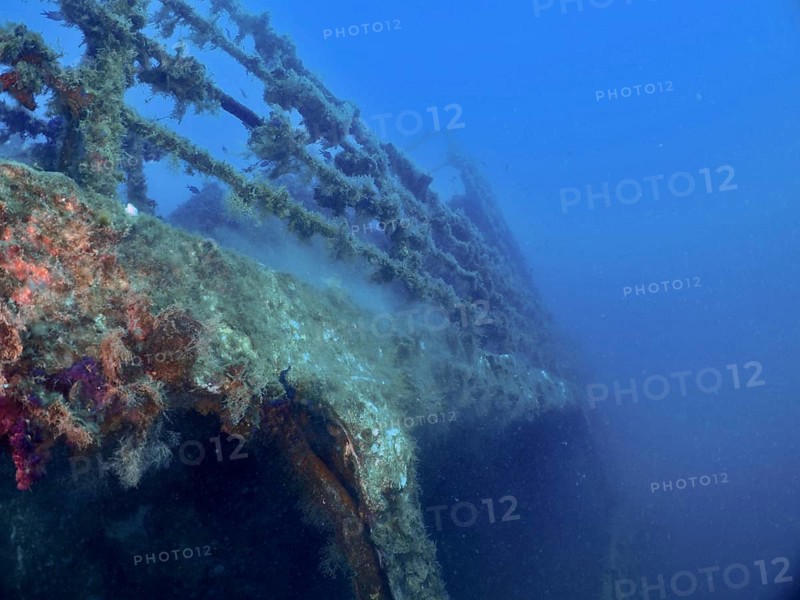 Rusty metal structure of a wreck under water, overgrown with marine life. Dive site wreck of the Vis, Pula, Croatia, Mediterranean Sea