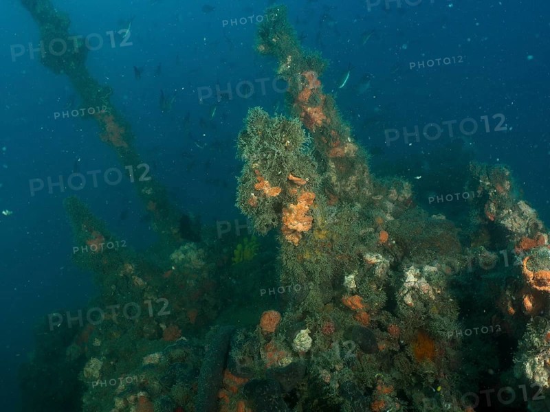 The superstructure of a shipwreck overgrown with algae and sponges in the deep ocean. Dive site wreck of the Giuseppe Dezza, Pula, Croatia, Mediterranean Sea
