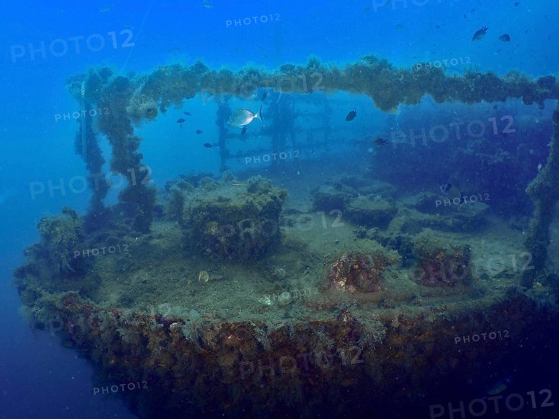 Bow of a shipwreck at depth, with fish, surrounded by blue water. Dive site Wreck of the Vis, Pula, Croatia, Mediterranean Sea