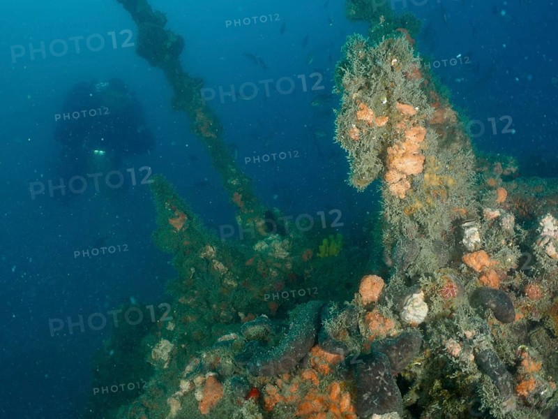 Diver explores sponges and algae on an old shipwreck under water. Dive site wreck of the Giuseppe Dezza, Pula, Croatia, Mediterranean Sea