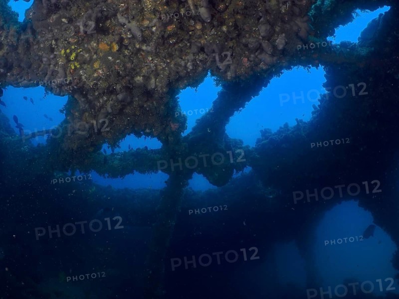 View through the overgrown structures of a shipwreck under water. Dive site wreck of the Baron Gautsch, Pula, Croatia, Mediterranean Sea