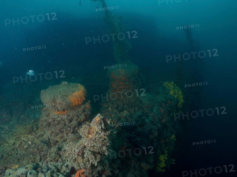 Underwater image of a coral-covered shipwreck in murky surroundings. Dive site wreck of the Baron Gautsch, Pula, Croatia, Mediterranean Sea