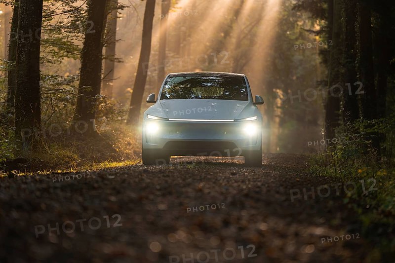 A car on a forest path, surrounded by trees and penetrated by the sun's rays at dawn, Tesla Model Y Juniper, Gechingen, Black Forest, Germany