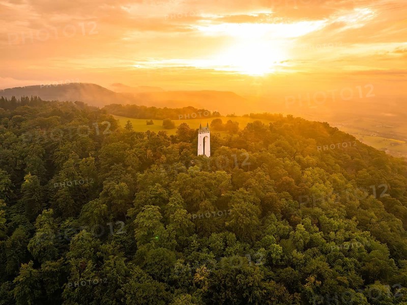 A white tower stands in a forest at sunset in the soft light, Schönbergturm, Pfullingen, Swabian Alb, Germany