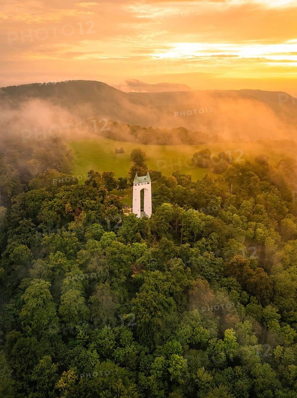 Tower in fog-shrouded forest at sunrise, soft morning light, Schönberg Tower, Pfullingen, Swabian Alb, Germany