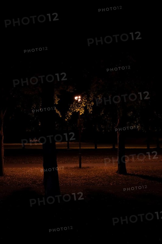 Night shot of a street lamp standing between trees in the Herrenhausen Gardens, Herrenhausen, Hanover, Lower Saxony, Germany