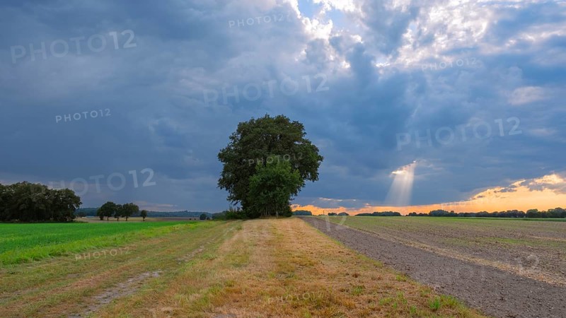 View across fields into the sky, revealing rays of sunlight through an opening, Husum, Nienburg, Lower Saxony, Germany