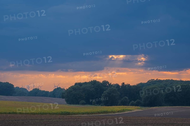 View over a field landscape where wind turbines can be seen behind trees in the rain and evening light, Husum, Nienburg, Lower Saxony, Germany