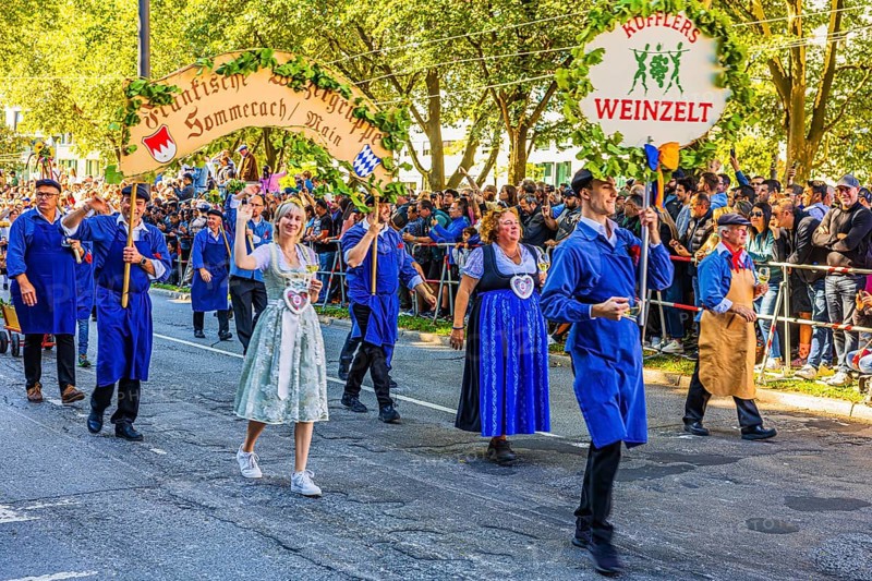 Franconian group of winegrowers from Sommerach am Main, entry of the Oktoberfest hosts, Oktoberfest, Munich, Upper Bavaria, Bavaria, Germany