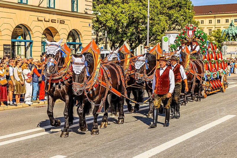Splendid team of the Spaten brewery, traditional traditional costume and marksmen's procession, Oktoberfest, Munich, Upper Bavaria, Bavaria, Germany
