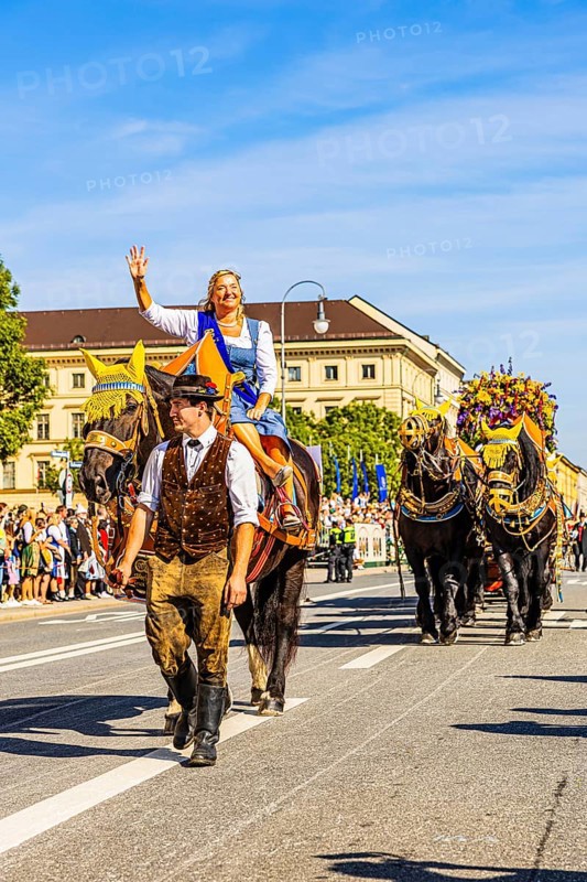 The Bräurosl Rosi Schuhegger on horseback, behind her the splendid team of the Hacker-Pschorr brewery, Trachten- und Schützenzug, Oktoberfest, Munich, Upper Bavaria, Bavaria, Germany