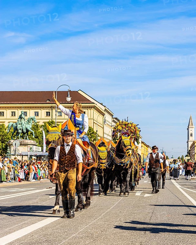 The Bräurosl Rosi Schuhegger on horseback, behind her the splendid team of the Hacker-Pschorr brewery, The Trachten- und Schützenzug, Oktoberfest, Munich, Upper Bavaria, Bavaria, Germany