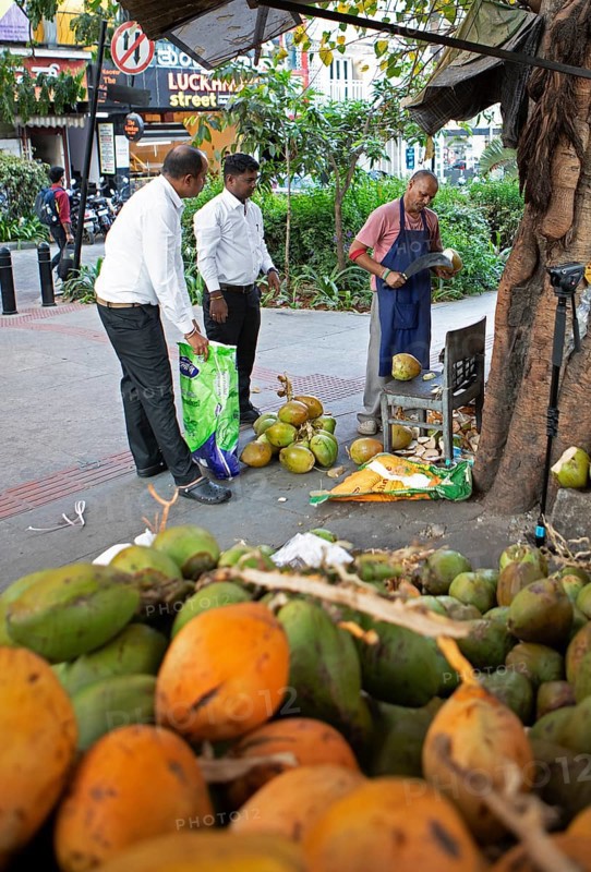 Indian man cutting a coconut, others watching, Begaluru or Bangalore, Karnataka, India