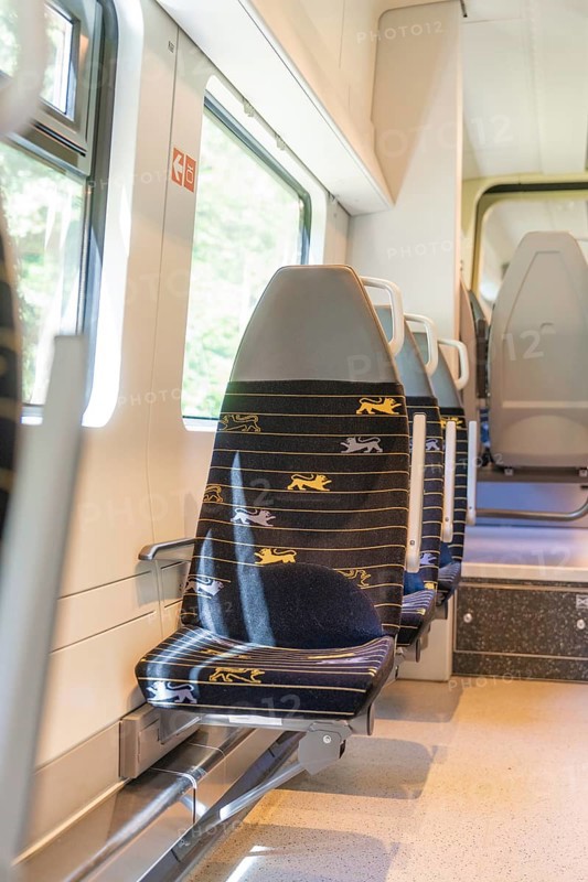 Single modern train seat with a view of the landscape, battery Electric train with green electricity, Siemens Mireo Plus B, Freudenstadt, Germany