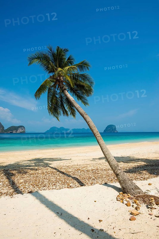 White sandy beach and coconut palms, Sunrise Beach, Koh Great white shark, Ko Ngai, Krabi Province, Trang, Southern Thailand, Andaman Sea, Thailand