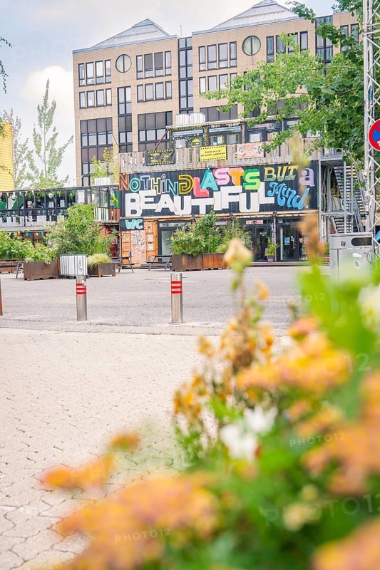 Building with urban graffiti 'Nothing Lasts But the Beautiful' and flowers, Werksviertel Munich, Munich, Germany