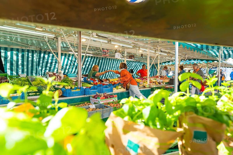 Lively market activity under a market tent with various fresh vegetables and customers, Sindelfingen, Böblingen district, Germany