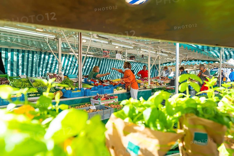 A customer and saleswoman in conversation at a colourful market stall, Sindelfingen, Böblingen district, Germany