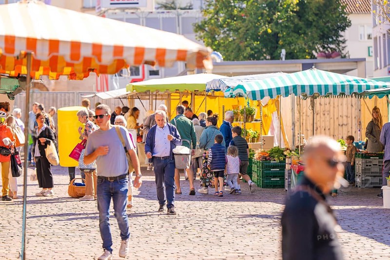 The market is full of people browsing the stalls with goods under colourful marquees, Sindelfingen, district of Böblingen, Germany