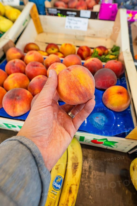 A hand holds a juicy peach over a crate of fresh fruit at a market stall, Sindelfingen, Böblingen district, Germany