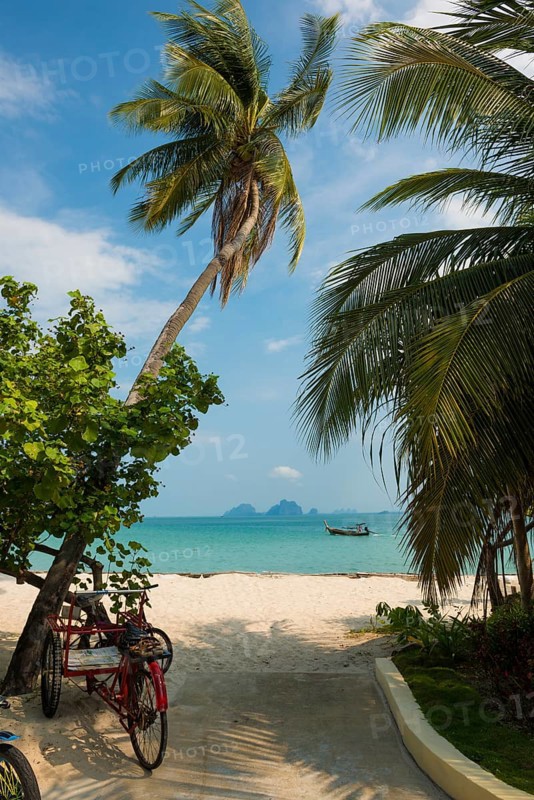 White sandy beach and coconut palms, Pearl Beach, Koh Mook, Trang Province, Southern Thailand, Andaman Sea, Thailand
