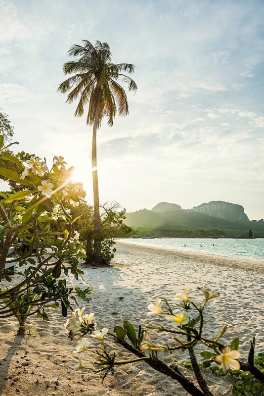 White sandy beach and coconut palms, sunset, Pearl Beach, Koh Mook, Trang Province, Southern Thailand, Andaman Sea, Thailand