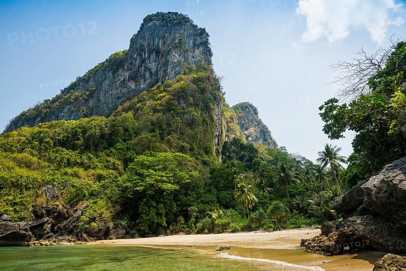 White sandy beach and coconut palms, Sabai Beach, Koh Mook, Trang Province, Southern Thailand, Andaman Sea, Thailand