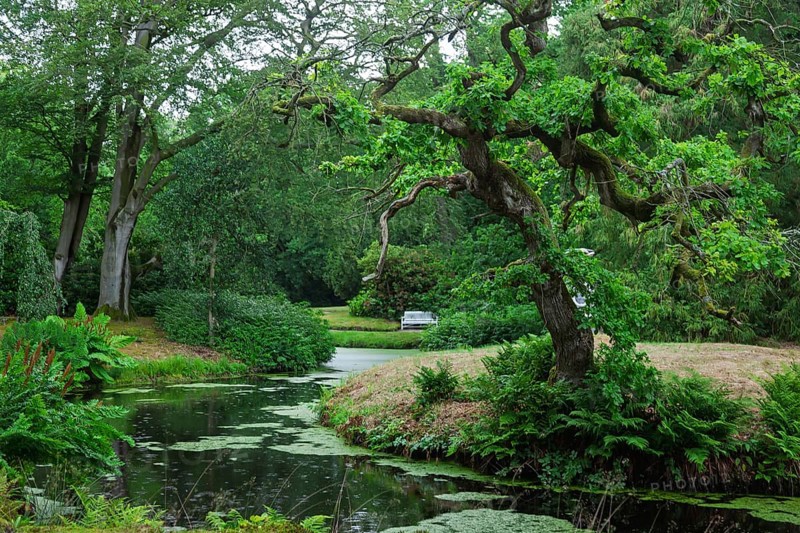 Park of Lütetsburg Castle, Lütetsburg, East Frisia, Lower Saxony, Germany