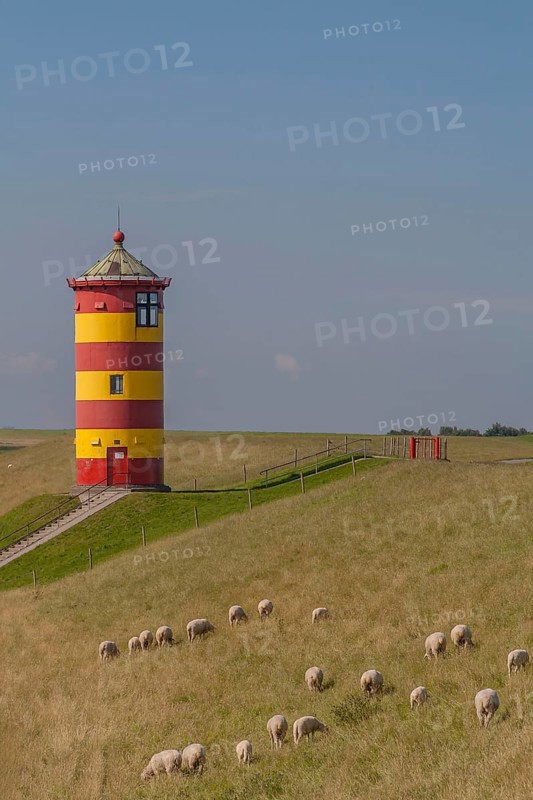 Pilsum lighthouse, flock of sheep, dyke sheep, Pilsum, East Frisia, Lower Saxony, Germany