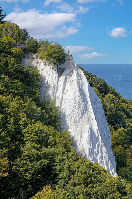 View from Victoria-Sicht to the Königstuhl, chalk cliffs, chalk, wooded, beech forest, forest, sea, cliff, cliff, chalk coast, Jasmund Peninsula, National Park, Unesco World Heritage Site, Rügen Island, Baltic Sea, Mecklenburg-Western Pomerania, Germany