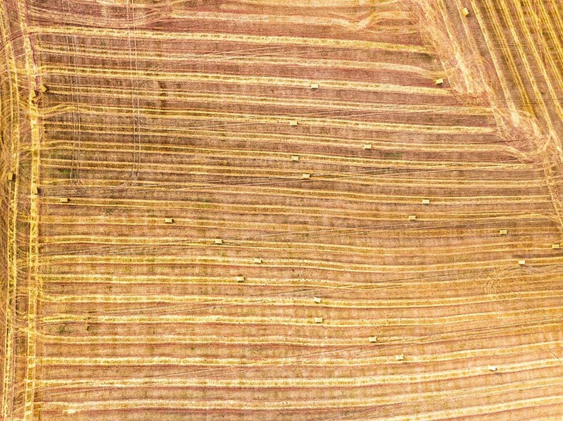 Top Down over Fields from a drone, Torquay, Devon, England, United Kingdom