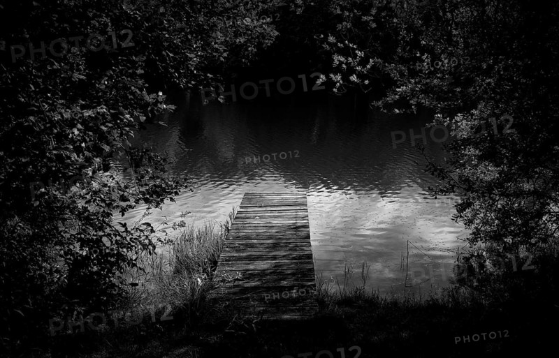 Bathing jetty, jetty, wooden jetty, jetty, leads into a lake, bathing lake, Schwaltenweiher near Seeg, black and white, Allgäu Alps, East Allgäu, Allgäu, Swabia, Bavaria, Germany