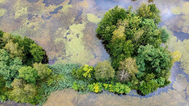 Aerial view, islands in the Drau, river, Brenndorf bird sanctuary, Carinthia, Austria