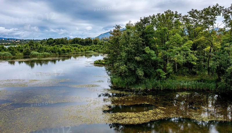 Brenndorf bird sanctuary, Drau riverbank, river, Carinthia, Austria