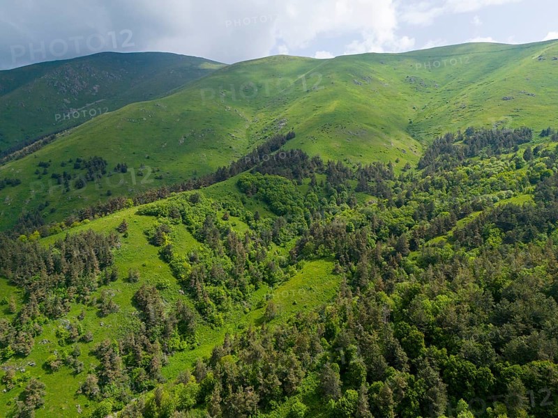 Densely forested mountain slopes with view of green valley under partly cloudy sky, aerial view, Dilijan National Park, Dilijan, Dilijan, Delijan, Delijan, Tavush province, Tavush, Armenia