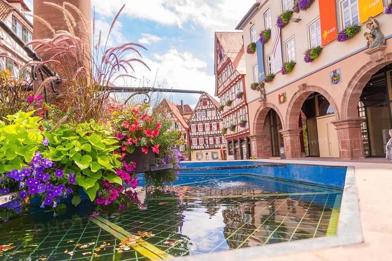 Colourful view of a fountain with half-timbered houses, decorated with flowers and reflecting water under a blue sky, small town of Perle Calw, Black Forest, Germany