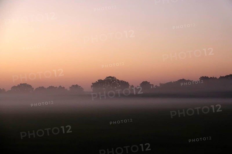 Landscape with morning fog, Summer, Saxony, Germany