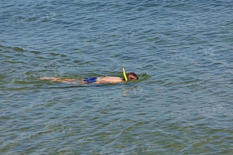 Little boy snorkelling in the sea, Kiel Fjord, Falckenstein, Kiel, Schleswig-Holstein, Germany