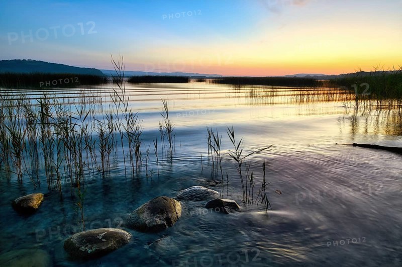 Gentle waves lapping reeds and stones on Lake Murten, atmospheric dawn, Canton of Fribourg, Switzerland