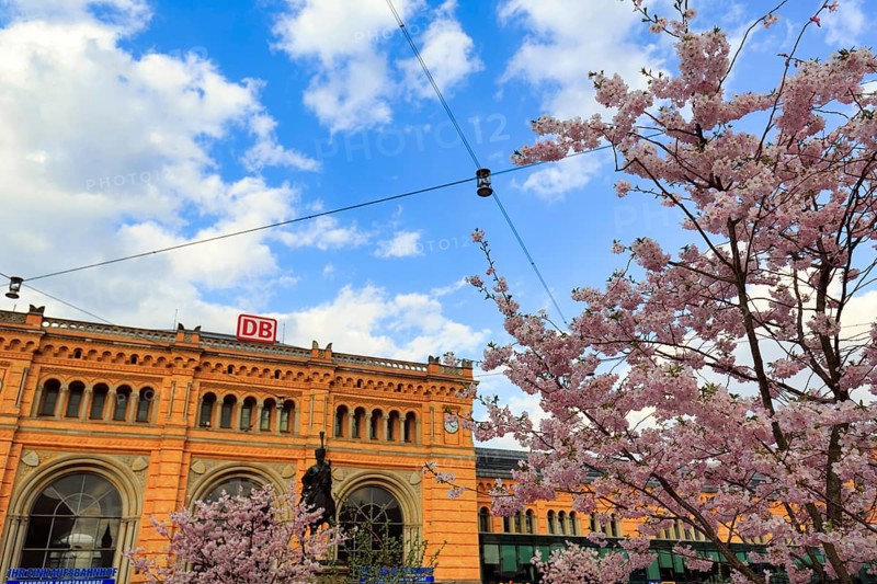 Hanover Central Station, Cherry Blossom, Cumulus, Hanover, Lower Saxony, Germany