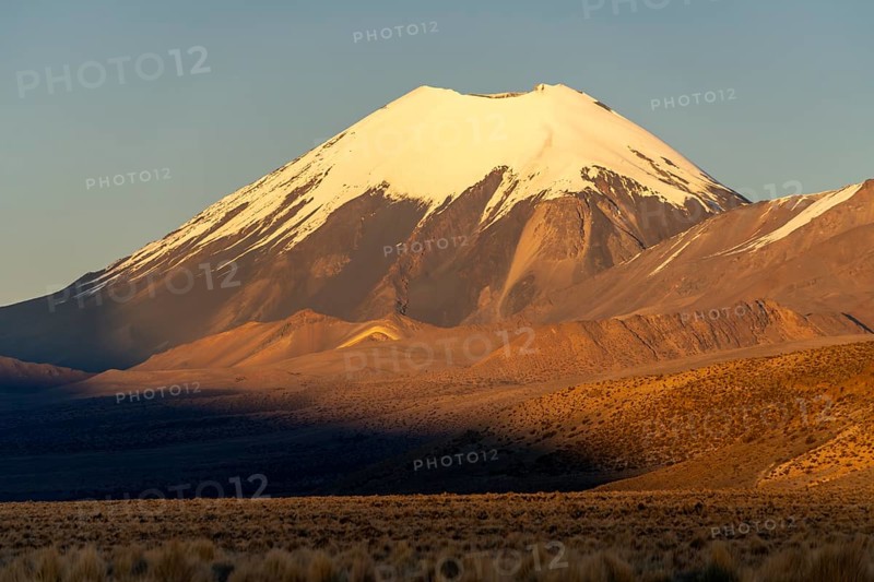 Snow-covered Parinacota volcano at dawn, Sajama National Park, Puna vegetation, Curahuara de Carangas, Departamento Oruro, Bolivia