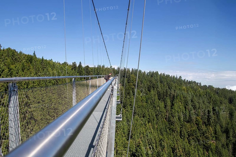Wildline Bad Wildbad: The pedestrian suspension bridge is 380 metres long and 60 metres high. It was opened as a tourist attraction in 2018