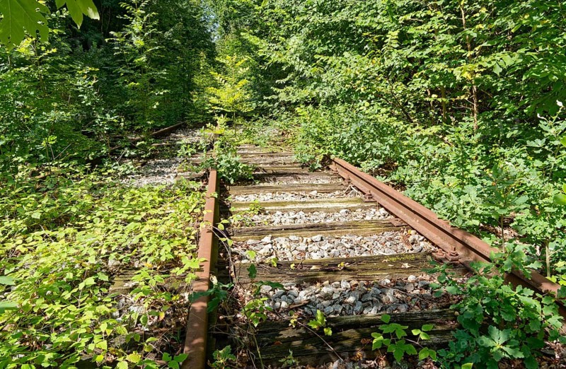 Rusty, overgrown tracks at the former Blumendorf railway station. Bad Oldesloe, Schleswig-Holstein, Germany