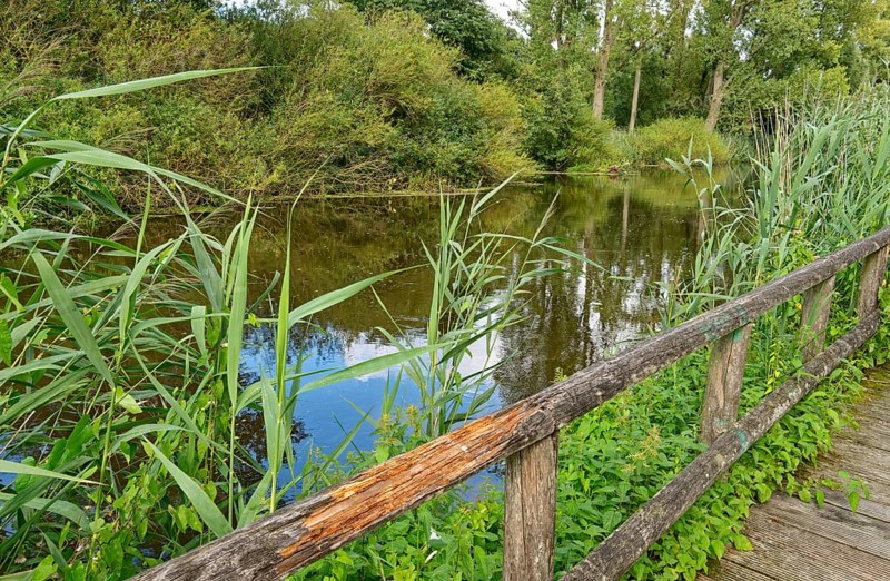 Footpath with wooden railings along the River Trave in Brenner Moor. The Brenner Moor is a salt moor, FFH area, in the Trave lowlands near Bad Oldesloe. Schleswig-Holstein, Germany