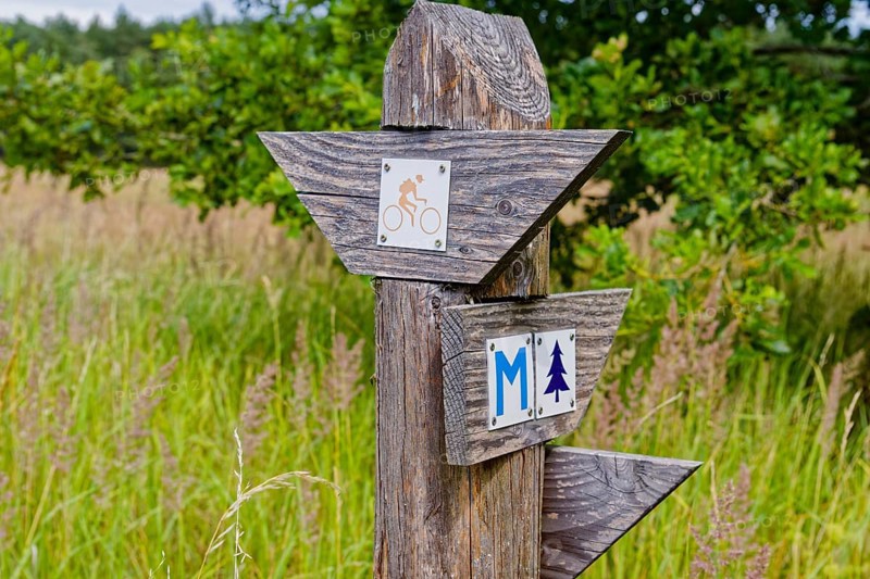 Wooden signpost in the Müritz National Park near Babke. Mirow, Mecklenburg-Western Pomerania, Germany