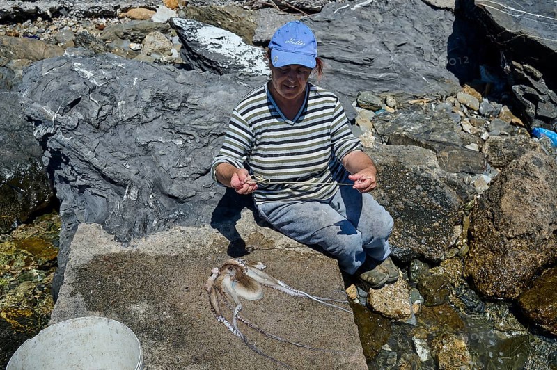 Man in work clothes picking up an octopus on rocky ground, Analipsi, Maltezana, Astypalea, Astipalea, Astipaleia, Dodecanese, Greek Islands, Greece