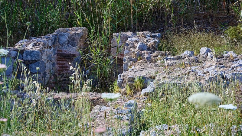 Remains of an ancient wall surrounded by plants in a historical site, ancient Roman bath, Tallaras, Analipsi, Maltezana, Astypalea, Astipalea, Astipaleia, Dodecanese, Greek Islands, Greece