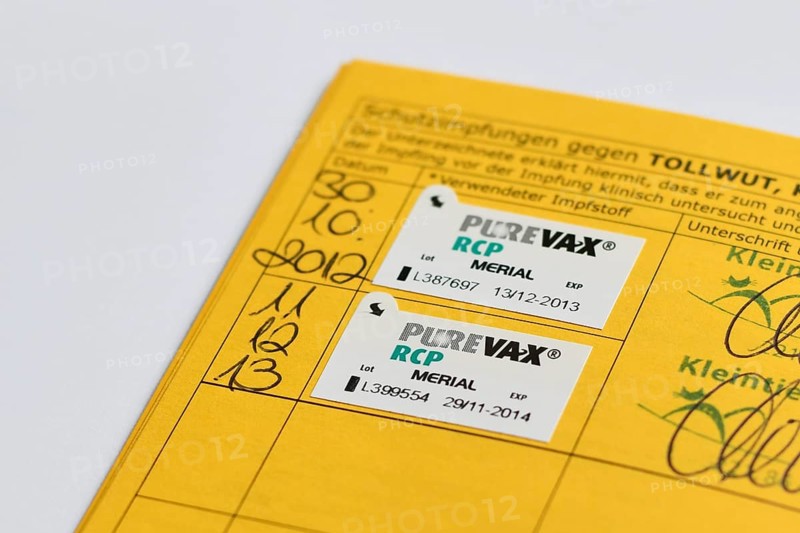 Germany - August 2nd 2025: Close up of PureVay RCP Merial vaccine sticker in cat passport. Veterinary vaccination record detail