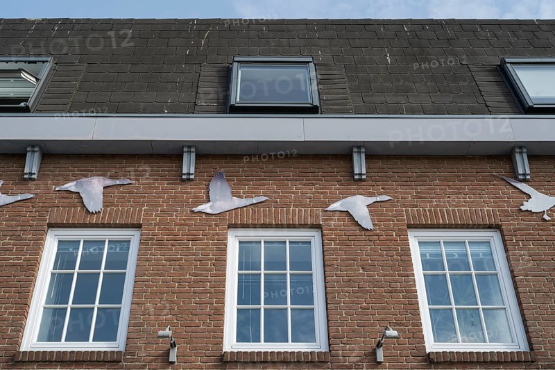 National Park House, harbour, Husum, North Frisia, North Sea, Schleswig-Holstein, Germany