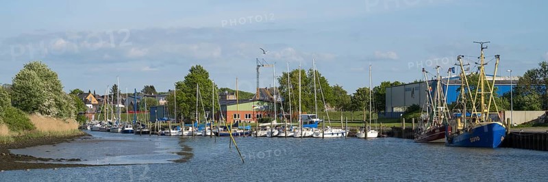 Fishing boats in the cutter harbour, outer harbour, panorama format, Husum, North Frisia, North Sea, Schleswig-Holstein, Germany